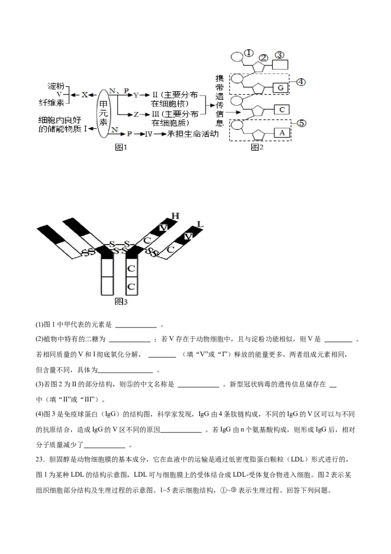 河南省郑州市十校联考2025-2026学年高一上学期11月期中考试生物试卷（含答案）_2025年11月高一试卷_251124河南省郑州市十校联考2025-2026学年高一上学期期中联考（全）