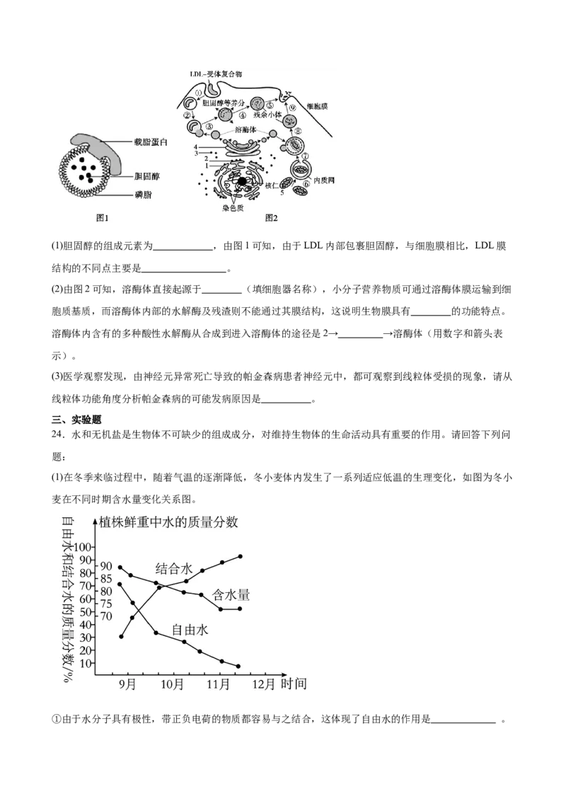 河南省郑州市十校联考2025-2026学年高一上学期11月期中考试生物试卷（含答案）_2025年11月高一试卷_251124河南省郑州市十校联考2025-2026学年高一上学期期中联考（全）