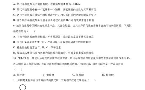 河南省实验中学2025-2026学年高一上学期期中考试生物试题（原卷版）_2025年12月高一试卷_251222河南省实验中学2025-2026学年高一上学期期中考试（全）