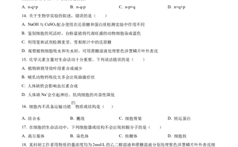 河南省实验中学2025-2026学年高一上学期期中考试生物试题（原卷版）_2025年12月高一试卷_251222河南省实验中学2025-2026学年高一上学期期中考试（全）