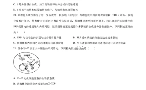 河南省实验中学2025-2026学年高一上学期期中考试生物试题（原卷版）_2025年12月高一试卷_251222河南省实验中学2025-2026学年高一上学期期中考试（全）