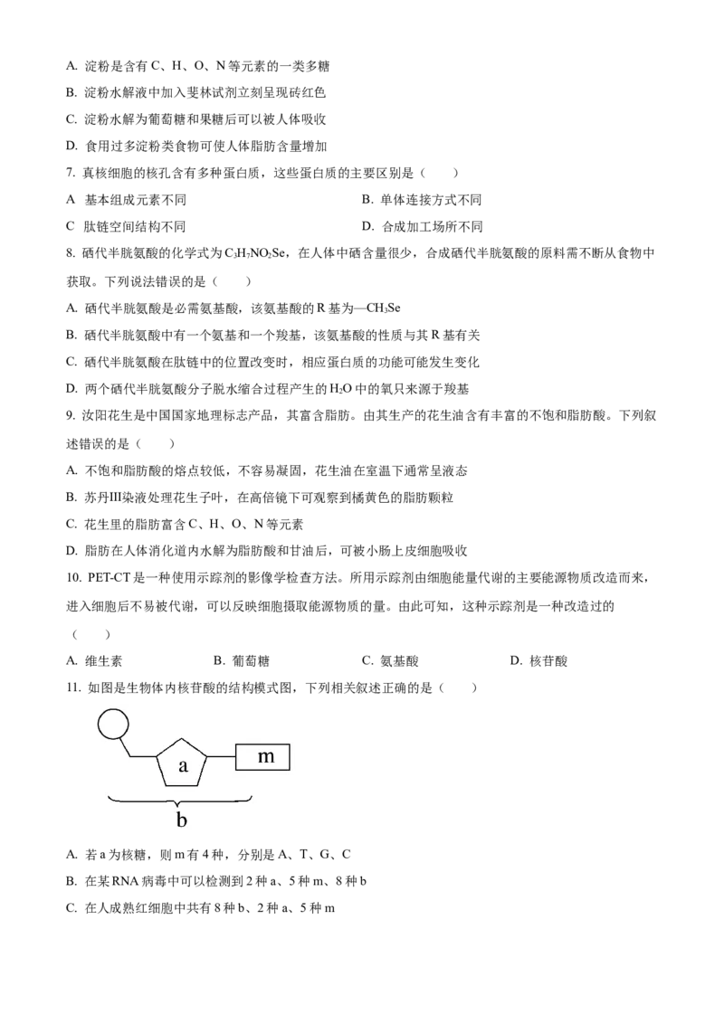 河南省实验中学2025-2026学年高一上学期期中考试生物试题（原卷版）_2025年12月高一试卷_251222河南省实验中学2025-2026学年高一上学期期中考试（全）