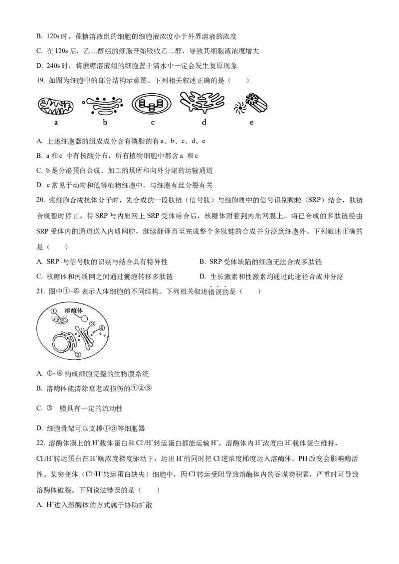 河南省实验中学2025-2026学年高一上学期期中考试生物试题（原卷版）_2025年12月高一试卷_251222河南省实验中学2025-2026学年高一上学期期中考试（全）