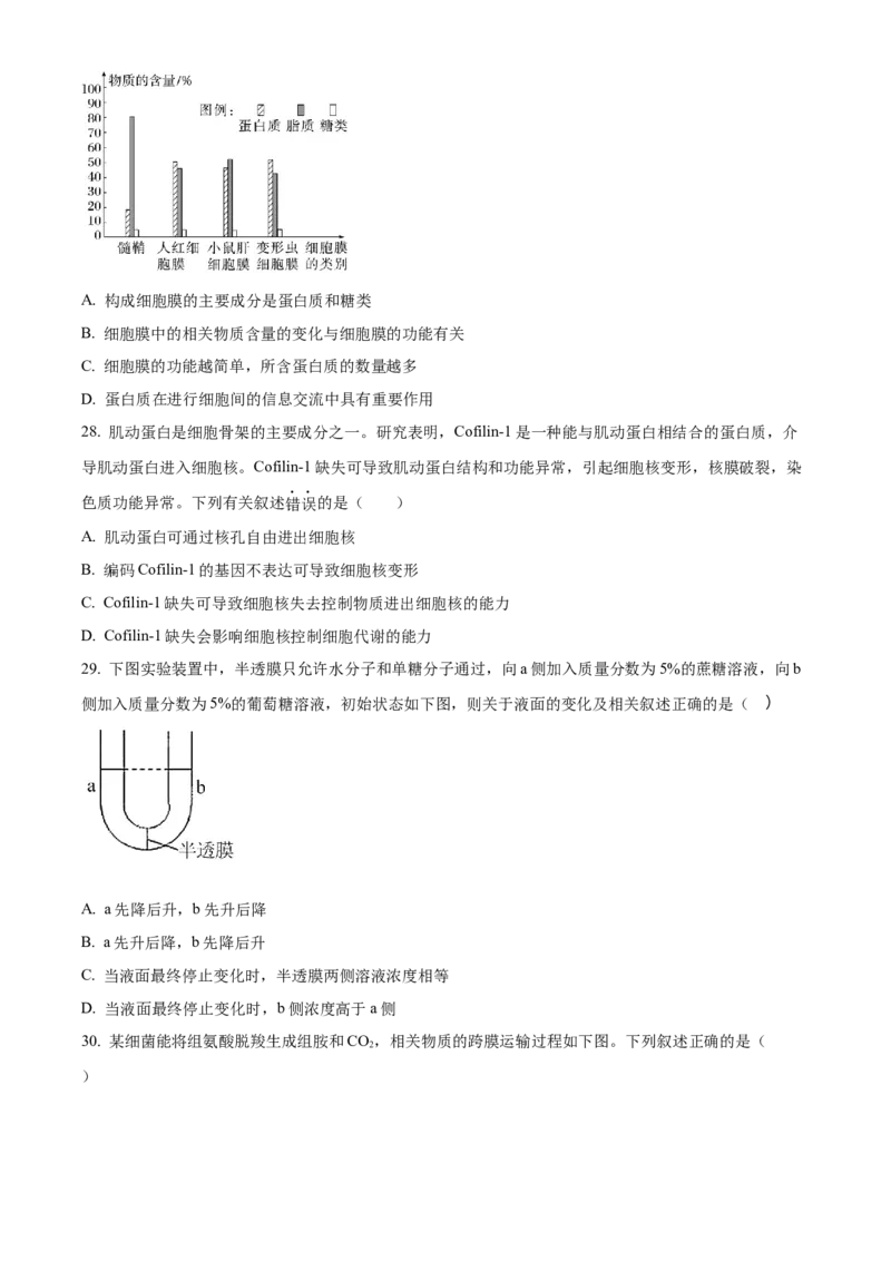 河南省实验中学2025-2026学年高一上学期期中考试生物试题（原卷版）_2025年12月高一试卷_251222河南省实验中学2025-2026学年高一上学期期中考试（全）