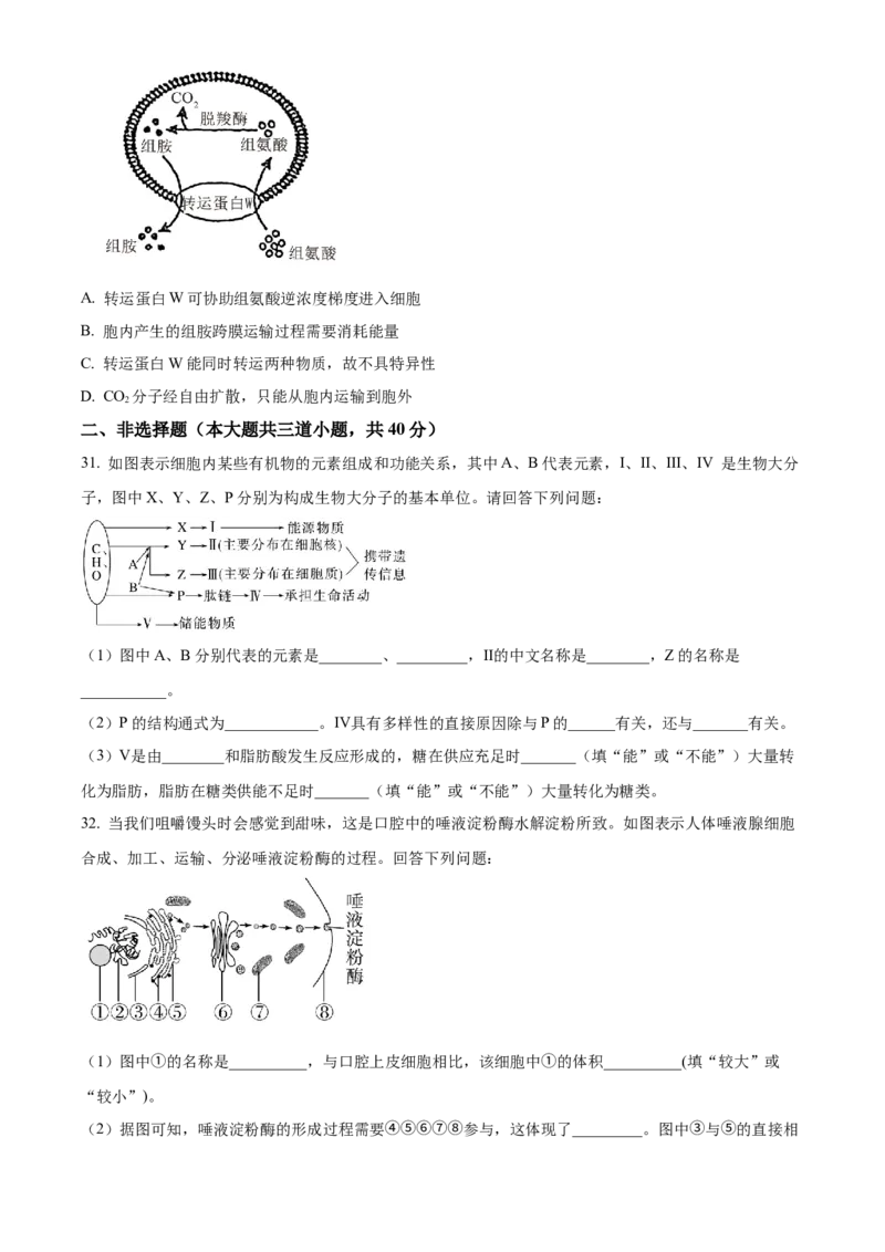 河南省实验中学2025-2026学年高一上学期期中考试生物试题（原卷版）_2025年12月高一试卷_251222河南省实验中学2025-2026学年高一上学期期中考试（全）