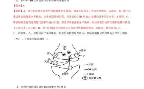 第八单元神经-激素-免疫调节网络构建（A卷新题基础练）-2023年高考生物一轮复习单元滚动双测卷（新高考专用）（解析版）_新高考复习资料_2023年新高考复习资料_一轮复习
