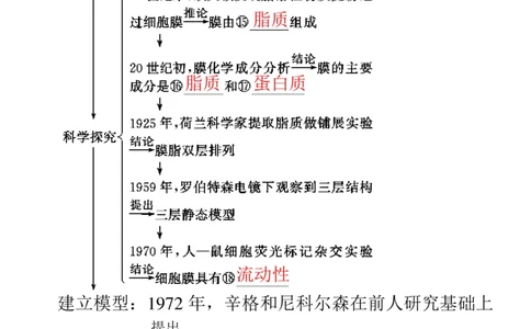 考点精讲3细胞的结构和功能及物质运输（教案）_新高考复习资料_2022年新高考复习资料_2022届一轮复习讲练结合7.13更新_系列二_考点精讲3细胞的结构和功能及物质运输