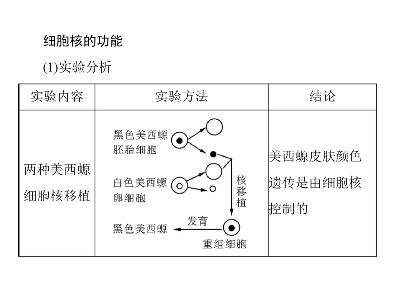 考点精讲3细胞的结构和功能及物质运输（教案）_新高考复习资料_2022年新高考复习资料_2022届一轮复习讲练结合7.13更新_系列二_考点精讲3细胞的结构和功能及物质运输