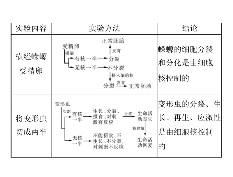 考点精讲3细胞的结构和功能及物质运输（教案）_新高考复习资料_2022年新高考复习资料_2022届一轮复习讲练结合7.13更新_系列二_考点精讲3细胞的结构和功能及物质运输