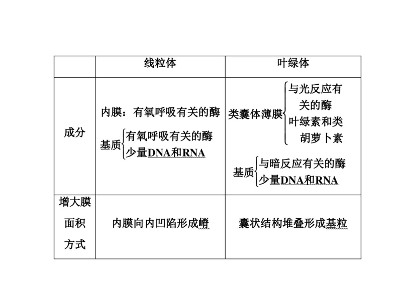考点精讲3细胞的结构和功能及物质运输（教案）_新高考复习资料_2022年新高考复习资料_2022届一轮复习讲练结合7.13更新_系列二_考点精讲3细胞的结构和功能及物质运输