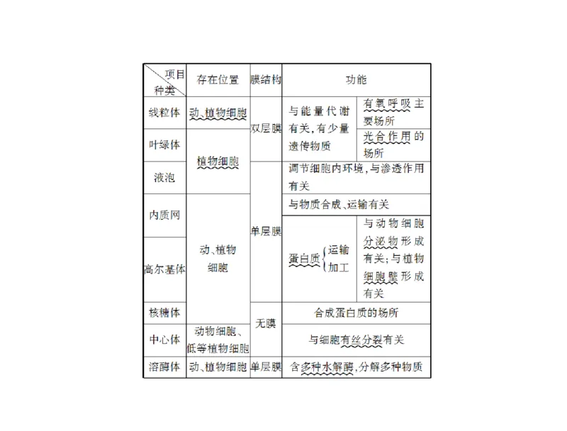 考点精讲3细胞的结构和功能及物质运输（教案）_新高考复习资料_2022年新高考复习资料_2022届一轮复习讲练结合7.13更新_系列二_考点精讲3细胞的结构和功能及物质运输