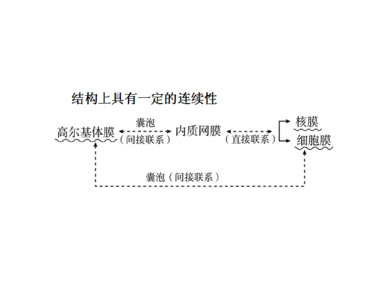 考点精讲3细胞的结构和功能及物质运输（教案）_新高考复习资料_2022年新高考复习资料_2022届一轮复习讲练结合7.13更新_系列二_考点精讲3细胞的结构和功能及物质运输