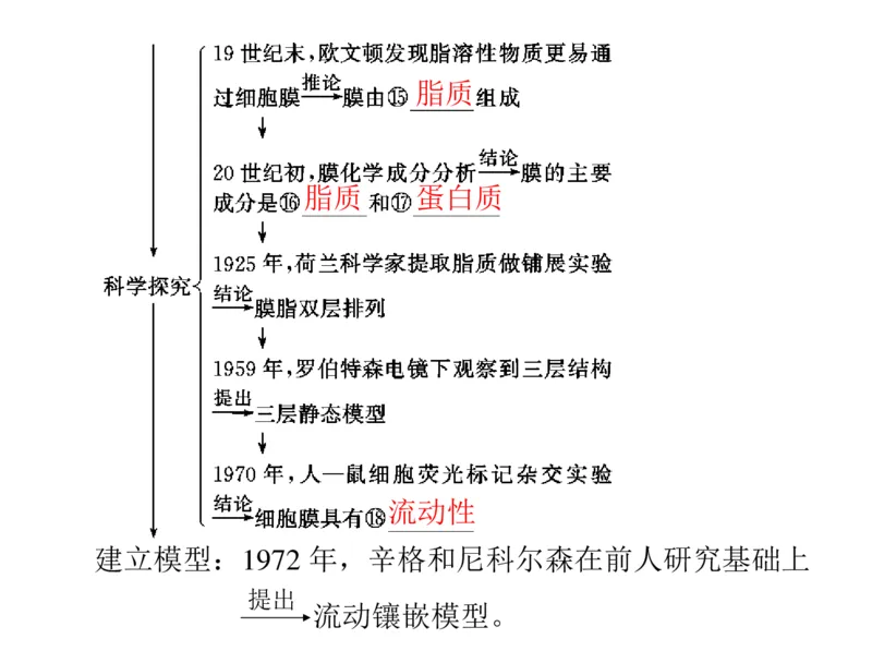 考点精讲3细胞的结构和功能及物质运输（教案）_新高考复习资料_2022年新高考复习资料_2022届一轮复习讲练结合7.13更新_系列二_考点精讲3细胞的结构和功能及物质运输