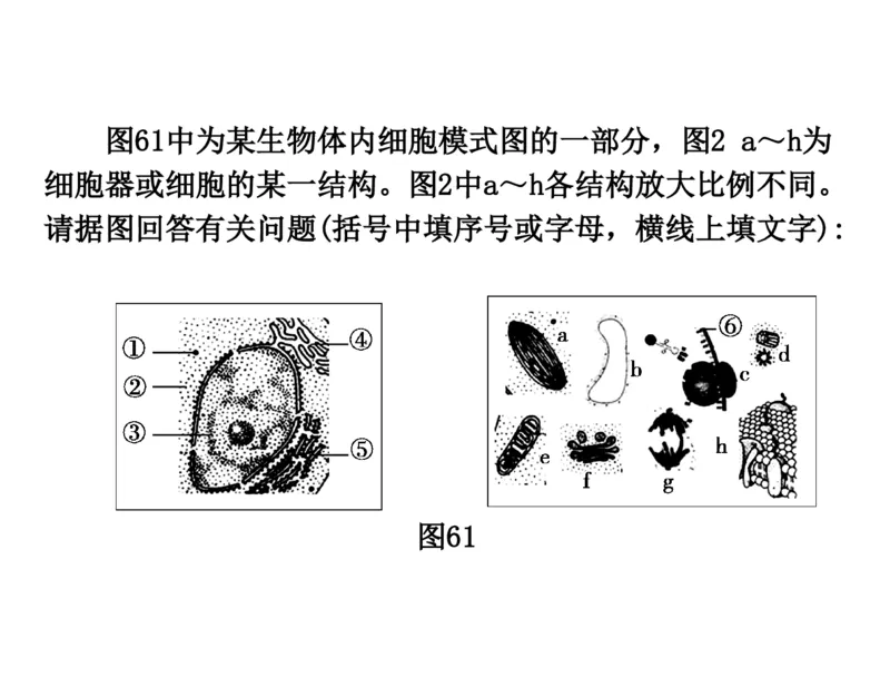 考点精讲3细胞的结构和功能及物质运输（教案）_新高考复习资料_2022年新高考复习资料_2022届一轮复习讲练结合7.13更新_系列二_考点精讲3细胞的结构和功能及物质运输