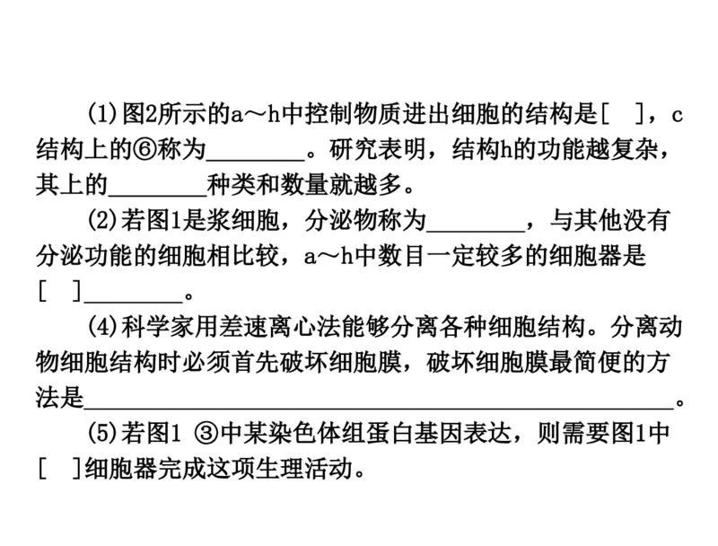 考点精讲3细胞的结构和功能及物质运输（教案）_新高考复习资料_2022年新高考复习资料_2022届一轮复习讲练结合7.13更新_系列二_考点精讲3细胞的结构和功能及物质运输