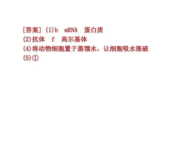 考点精讲3细胞的结构和功能及物质运输（教案）_新高考复习资料_2022年新高考复习资料_2022届一轮复习讲练结合7.13更新_系列二_考点精讲3细胞的结构和功能及物质运输