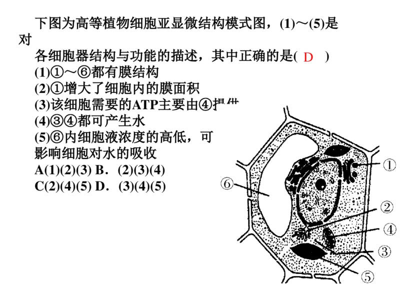 考点精讲3细胞的结构和功能及物质运输（教案）_新高考复习资料_2022年新高考复习资料_2022届一轮复习讲练结合7.13更新_系列二_考点精讲3细胞的结构和功能及物质运输