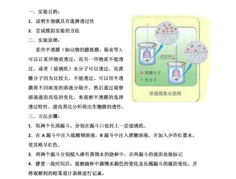 考点精讲3细胞的结构和功能及物质运输（教案）_新高考复习资料_2022年新高考复习资料_2022届一轮复习讲练结合7.13更新_系列二_考点精讲3细胞的结构和功能及物质运输