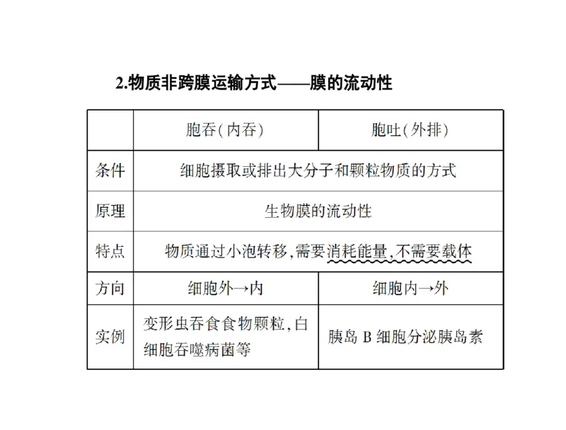 考点精讲3细胞的结构和功能及物质运输（教案）_新高考复习资料_2022年新高考复习资料_2022届一轮复习讲练结合7.13更新_系列二_考点精讲3细胞的结构和功能及物质运输