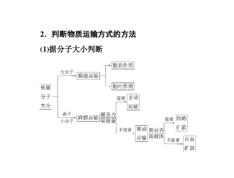考点精讲3细胞的结构和功能及物质运输（教案）_新高考复习资料_2022年新高考复习资料_2022届一轮复习讲练结合7.13更新_系列二_考点精讲3细胞的结构和功能及物质运输