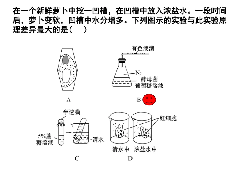 考点精讲3细胞的结构和功能及物质运输（教案）_新高考复习资料_2022年新高考复习资料_2022届一轮复习讲练结合7.13更新_系列二_考点精讲3细胞的结构和功能及物质运输