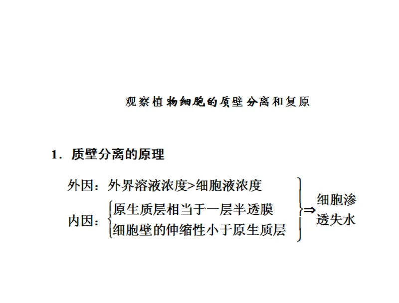 考点精讲3细胞的结构和功能及物质运输（教案）_新高考复习资料_2022年新高考复习资料_2022届一轮复习讲练结合7.13更新_系列二_考点精讲3细胞的结构和功能及物质运输