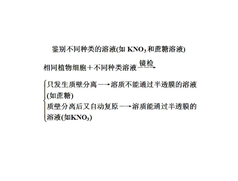 考点精讲3细胞的结构和功能及物质运输（教案）_新高考复习资料_2022年新高考复习资料_2022届一轮复习讲练结合7.13更新_系列二_考点精讲3细胞的结构和功能及物质运输