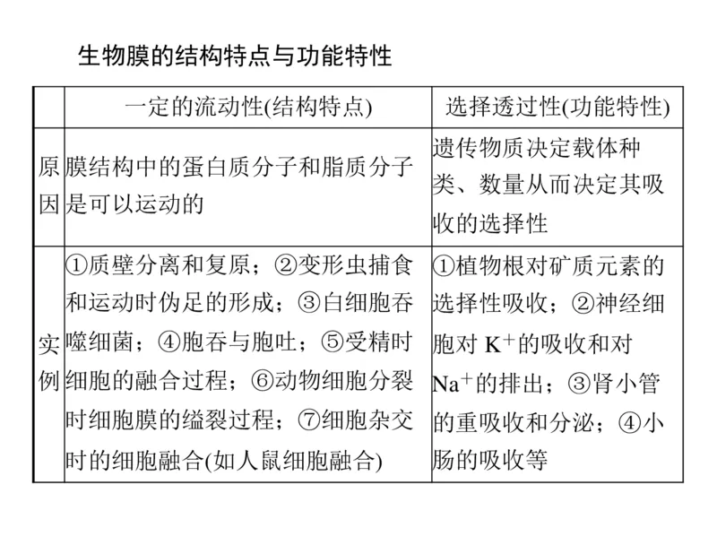 考点精讲3细胞的结构和功能及物质运输（教案）_新高考复习资料_2022年新高考复习资料_2022届一轮复习讲练结合7.13更新_系列二_考点精讲3细胞的结构和功能及物质运输