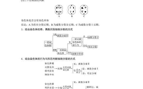 第4单元　第4课时　减数分裂与有丝分裂的比较及观察蝗虫精母细胞减数分裂装片_新高考复习资料_2024年新高考复习资料_一轮复习资料_完2024生物步步高大一轮复习（课件+讲义）