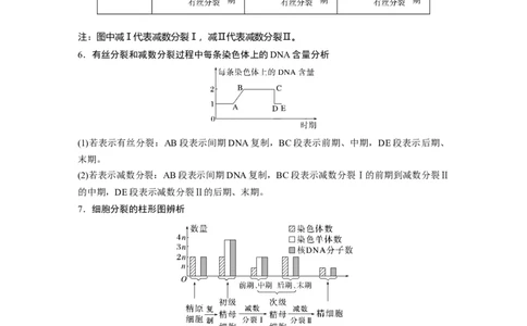 第4单元　第4课时　减数分裂与有丝分裂的比较及观察蝗虫精母细胞减数分裂装片_新高考复习资料_2024年新高考复习资料_一轮复习资料_完2024生物步步高大一轮复习（课件+讲义）