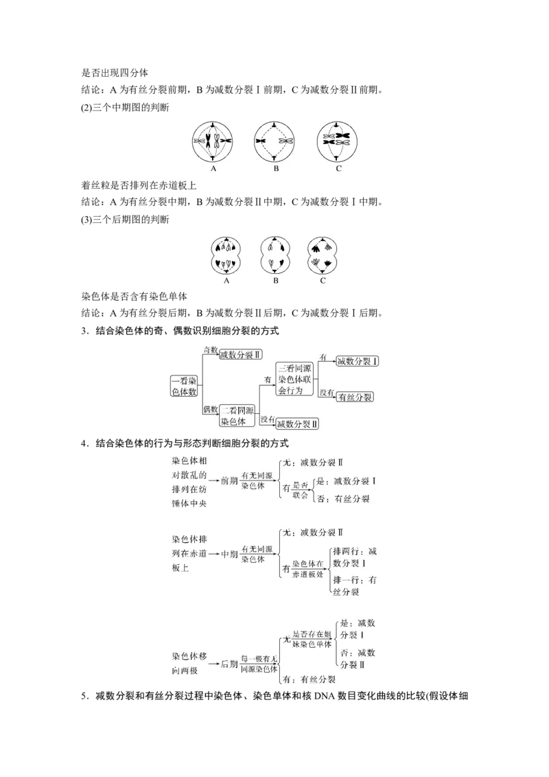 第4单元　第4课时　减数分裂与有丝分裂的比较及观察蝗虫精母细胞减数分裂装片_新高考复习资料_2024年新高考复习资料_一轮复习资料_完2024生物步步高大一轮复习（课件+讲义）