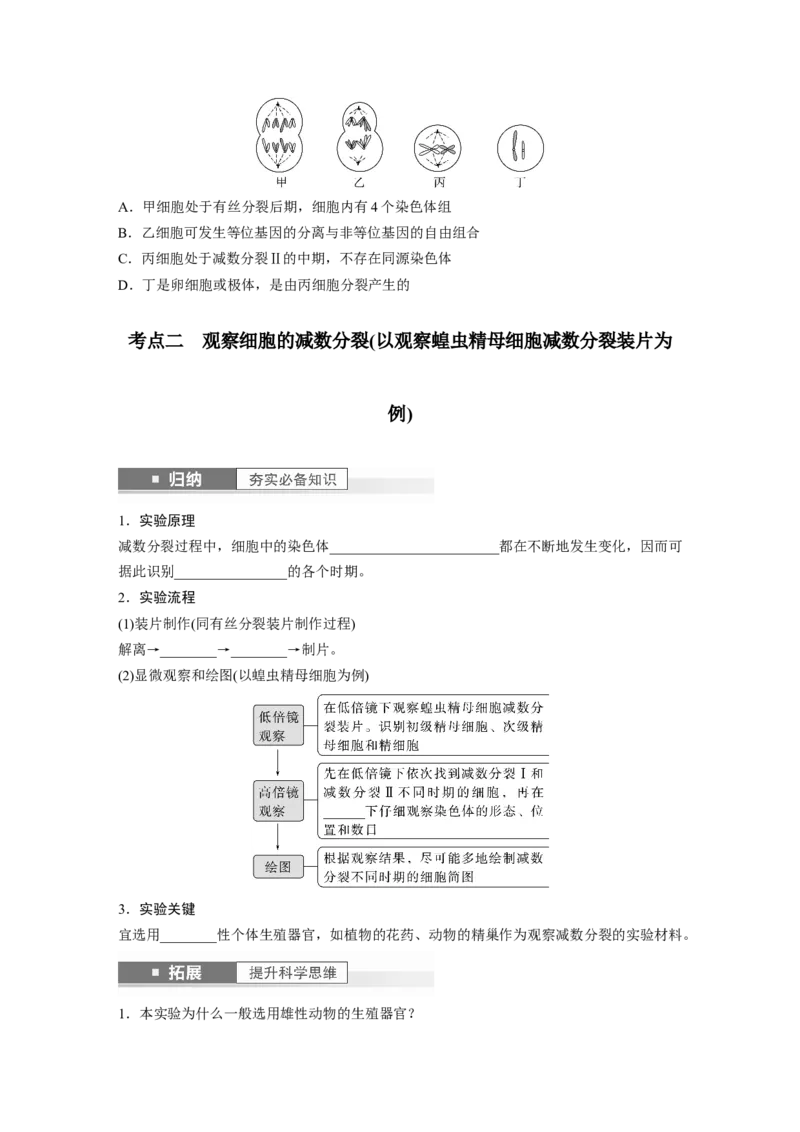 第4单元　第4课时　减数分裂与有丝分裂的比较及观察蝗虫精母细胞减数分裂装片_新高考复习资料_2024年新高考复习资料_一轮复习资料_完2024生物步步高大一轮复习（课件+讲义）