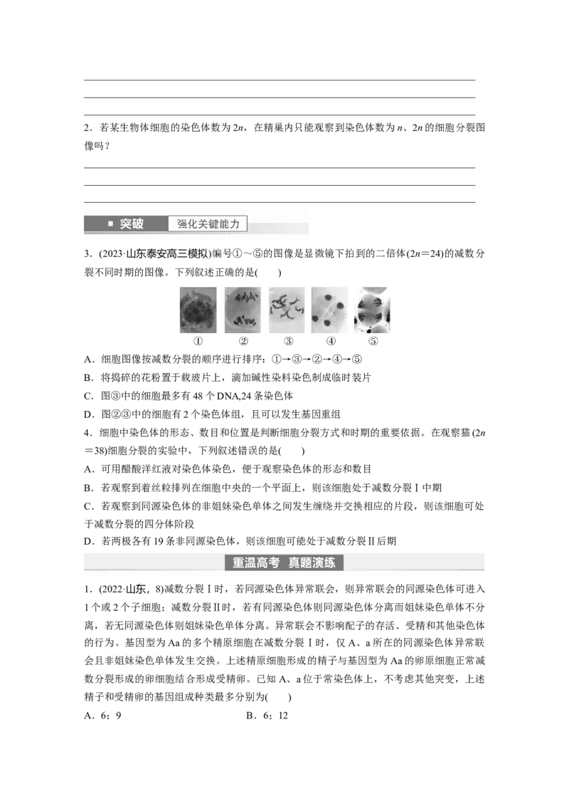 第4单元　第4课时　减数分裂与有丝分裂的比较及观察蝗虫精母细胞减数分裂装片_新高考复习资料_2024年新高考复习资料_一轮复习资料_完2024生物步步高大一轮复习（课件+讲义）