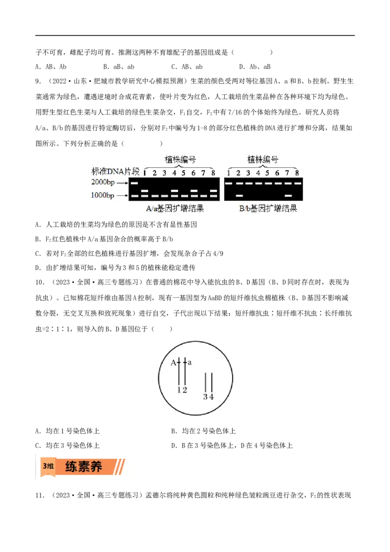第14练基因的自由组合定律（原卷版）_新高考复习资料_2023年新高考复习资料_一轮复习_2023年高考生物一轮复习小题多维练（新高考专用）