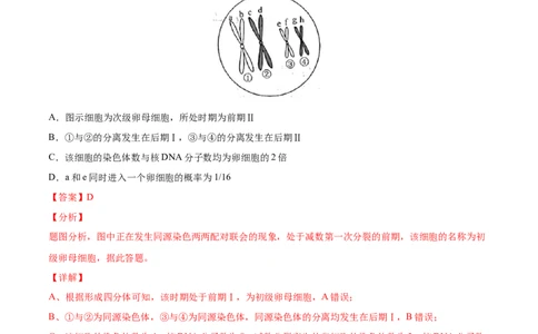 考向08减数分裂和受精作用-备战2023年高考生物一轮复习考点微专题（全国通用）（解析版）(1)_通用版（老高考）复习资料_2023年复习资料_一轮复习