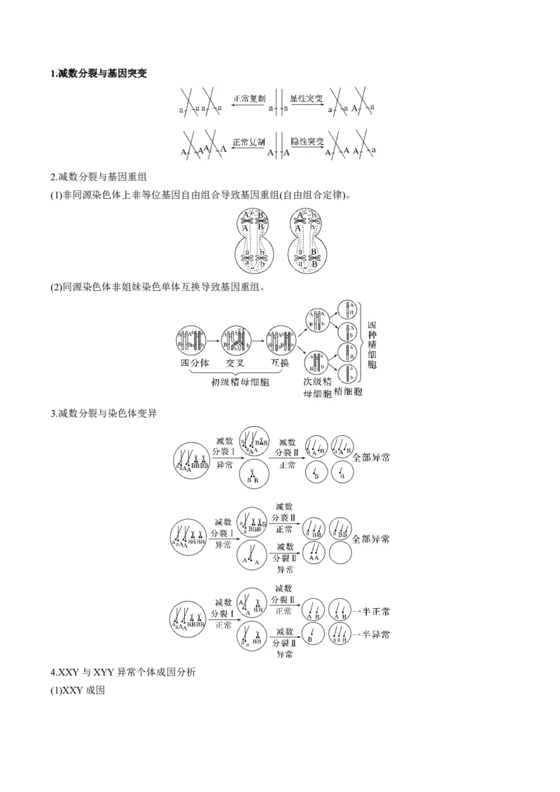 考向08减数分裂和受精作用-备战2023年高考生物一轮复习考点微专题（全国通用）（解析版）(1)_通用版（老高考）复习资料_2023年复习资料_一轮复习