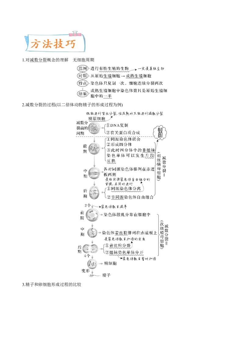 考向08减数分裂和受精作用-备战2023年高考生物一轮复习考点微专题（全国通用）（解析版）(1)_通用版（老高考）复习资料_2023年复习资料_一轮复习