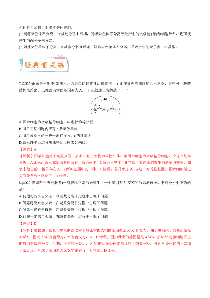 考向08减数分裂和受精作用-备战2023年高考生物一轮复习考点微专题（全国通用）（解析版）(1)_通用版（老高考）复习资料_2023年复习资料_一轮复习
