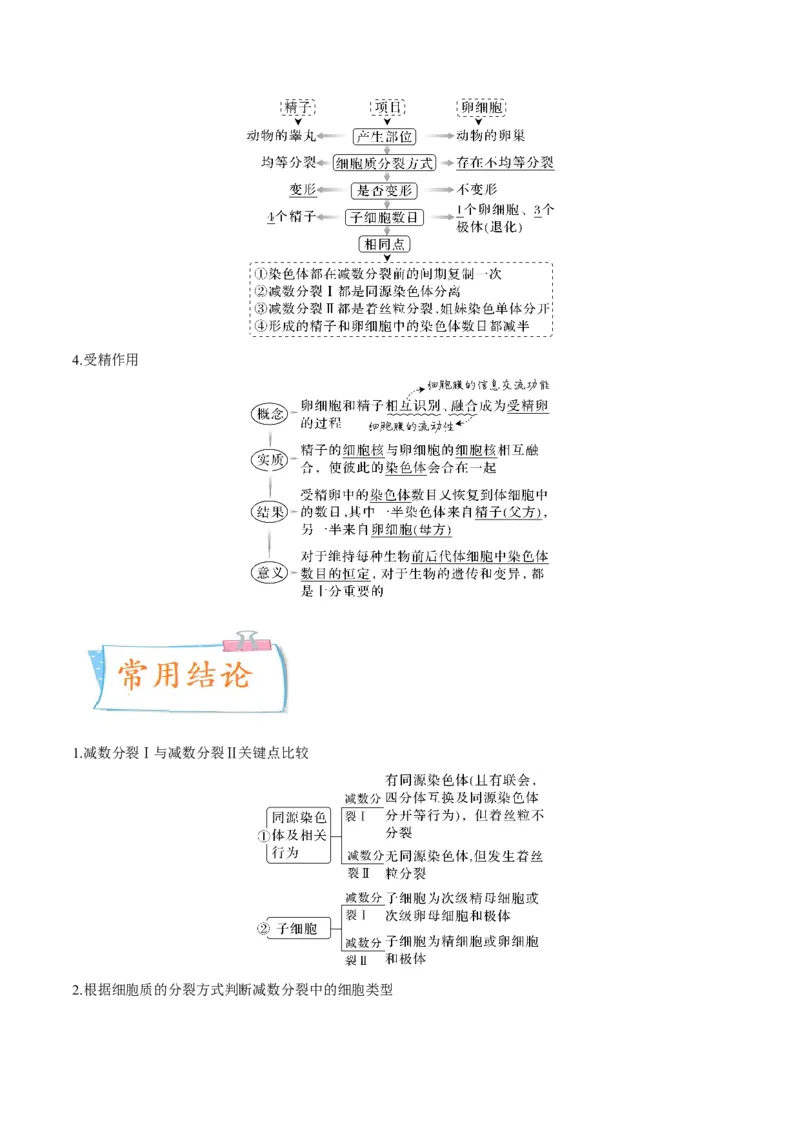 考向08减数分裂和受精作用-备战2023年高考生物一轮复习考点微专题（全国通用）（解析版）(1)_通用版（老高考）复习资料_2023年复习资料_一轮复习