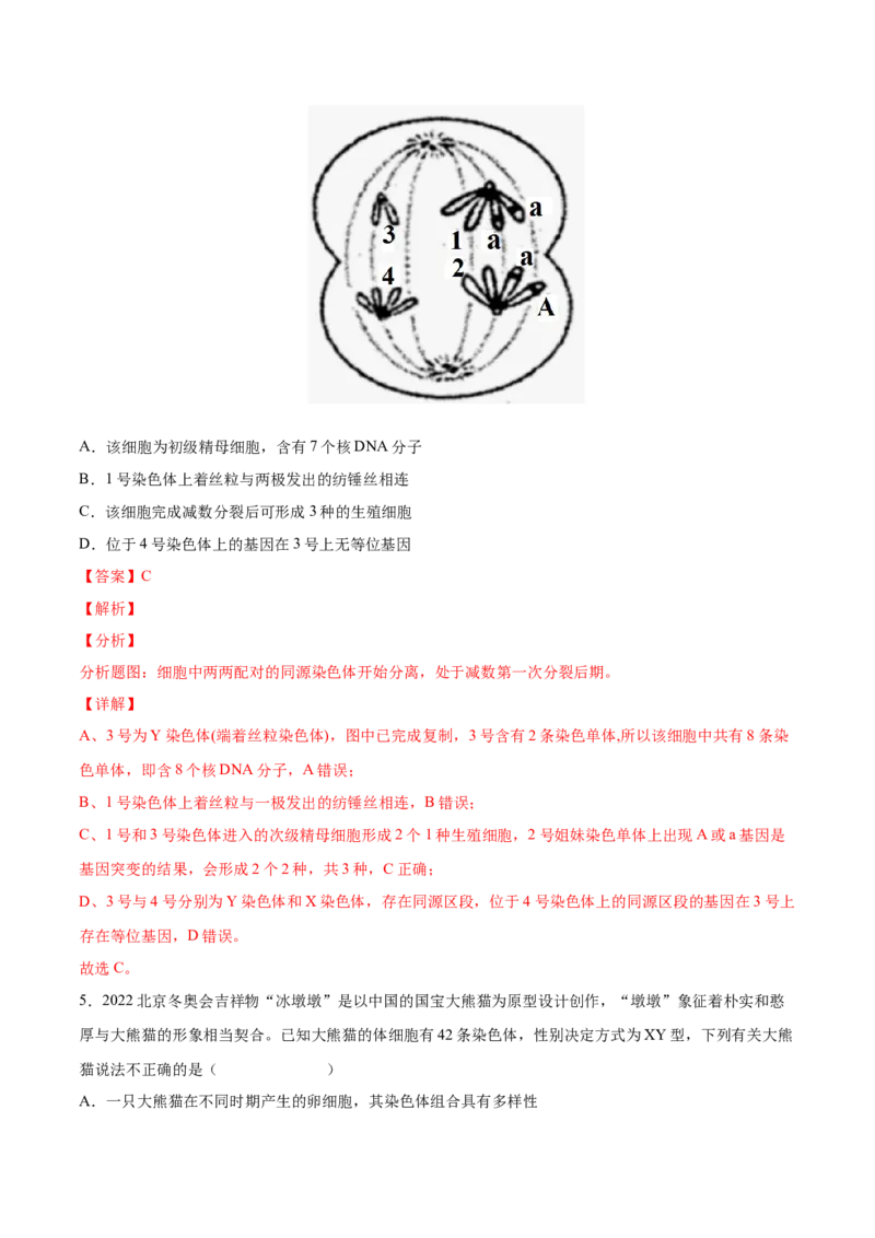 考向08减数分裂和受精作用-备战2023年高考生物一轮复习考点微专题（全国通用）（解析版）(1)_通用版（老高考）复习资料_2023年复习资料_一轮复习