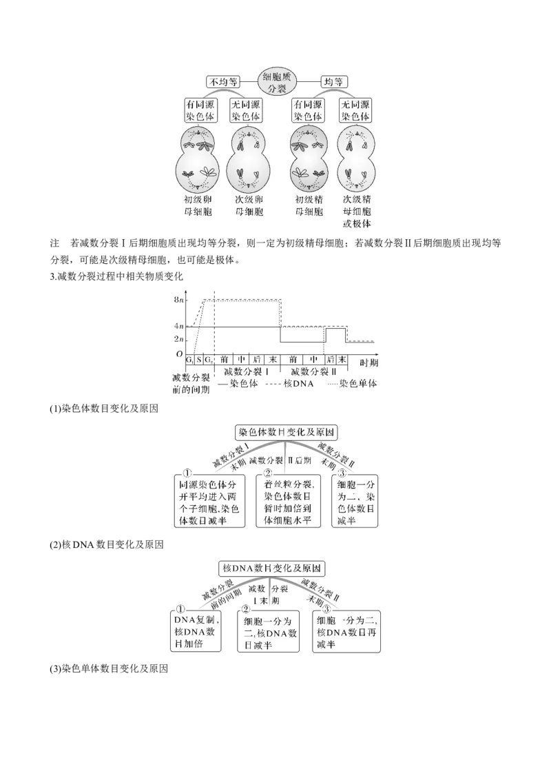 考向08减数分裂和受精作用-备战2023年高考生物一轮复习考点微专题（全国通用）（解析版）(1)_通用版（老高考）复习资料_2023年复习资料_一轮复习