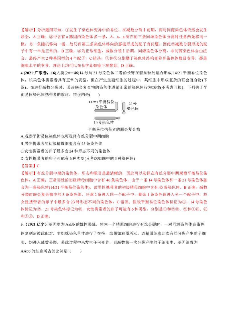 考向08减数分裂和受精作用-备战2023年高考生物一轮复习考点微专题（全国通用）（解析版）(1)_通用版（老高考）复习资料_2023年复习资料_一轮复习