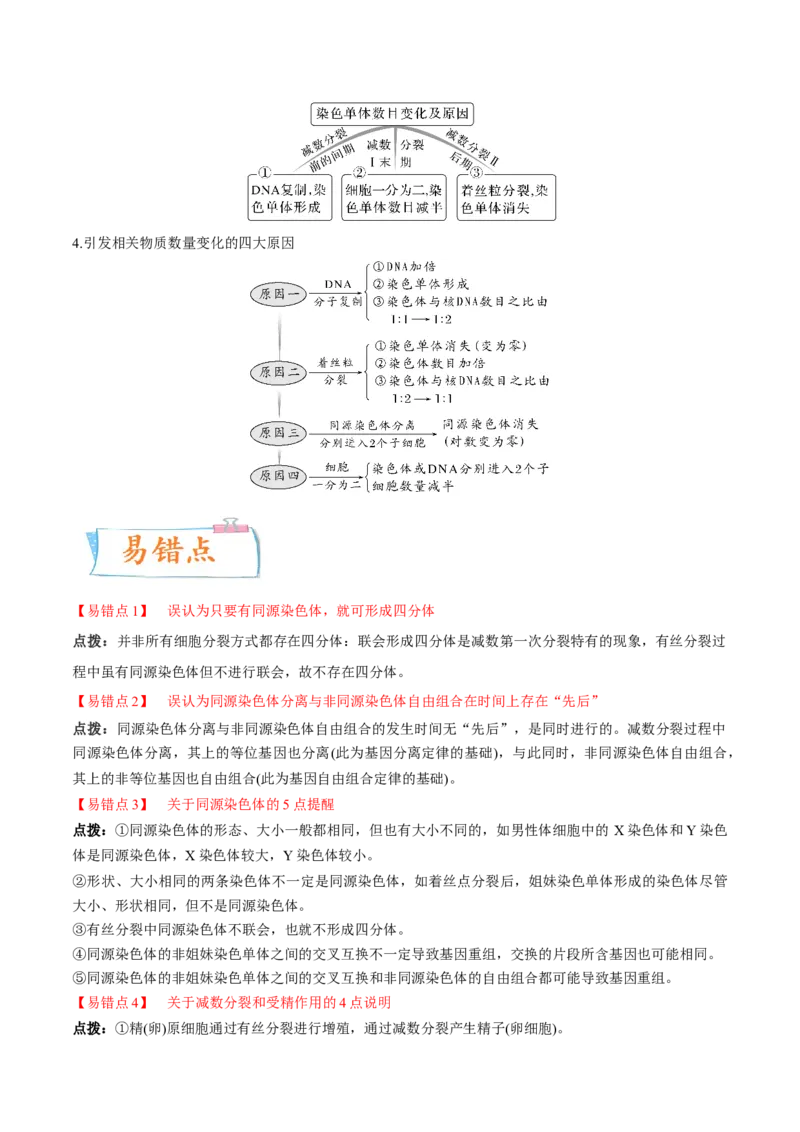考向08减数分裂和受精作用-备战2023年高考生物一轮复习考点微专题（全国通用）（解析版）(1)_通用版（老高考）复习资料_2023年复习资料_一轮复习