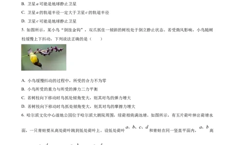精品解析：广东省湛江市2024-2025学年高一下学期4月期中物理试题（原卷版）_2026年04月高一试卷_260427广东省湛江市2024-2025学年高一下学期期中考试