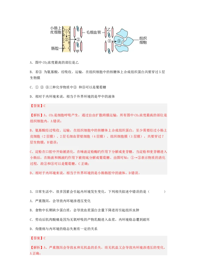 考点24人体内环境稳态（解析版）_通用版（老高考）复习资料_2023年复习资料_一轮复习_2023年高考生物一轮复习讲练测（全国通用）