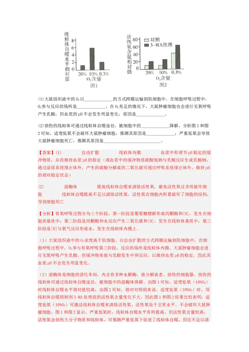 考点24人体内环境稳态（解析版）_通用版（老高考）复习资料_2023年复习资料_一轮复习_2023年高考生物一轮复习讲练测（全国通用）
