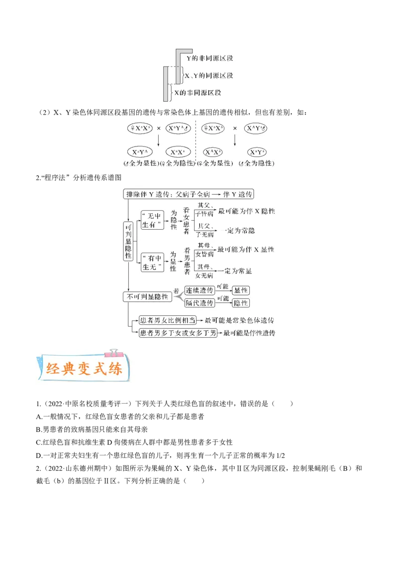 考向11伴性遗传和人类遗传病-备战2023年高考生物一轮复习考点微专题（全国通用）（原卷版）_通用版（老高考）复习资料_2023年复习资料_一轮复习