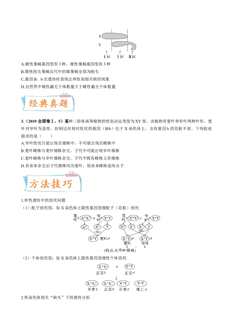 考向11伴性遗传和人类遗传病-备战2023年高考生物一轮复习考点微专题（全国通用）（原卷版）_通用版（老高考）复习资料_2023年复习资料_一轮复习