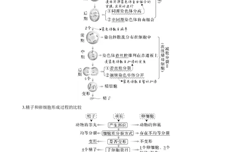 考向08减数分裂和受精作用-备战2023年高考生物一轮复习考点微专题（全国通用）（原卷版）(1)_通用版（老高考）复习资料_2023年复习资料_一轮复习