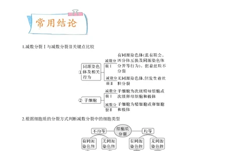 考向08减数分裂和受精作用-备战2023年高考生物一轮复习考点微专题（全国通用）（原卷版）(1)_通用版（老高考）复习资料_2023年复习资料_一轮复习